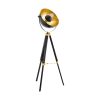 Lampadar vintage EGLO COVALEDA 49618