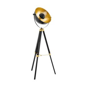 Lampadar vintage EGLO COVALEDA 49618