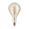 Bec EGLO LM_LED_E27 110107