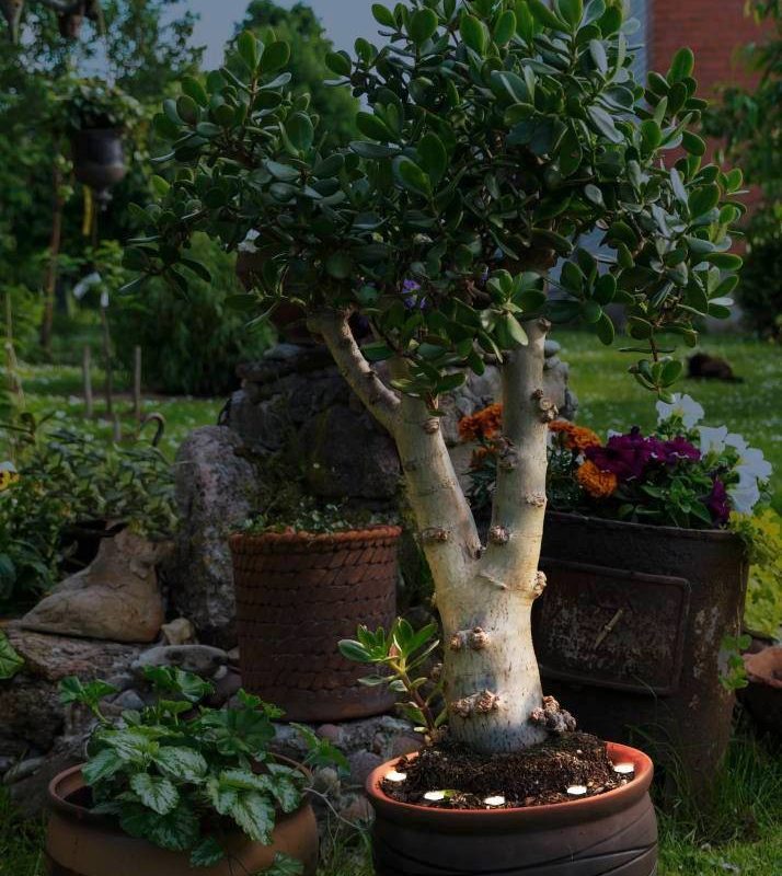 Proiector exterior EGLO SPINETOLI 2 900117