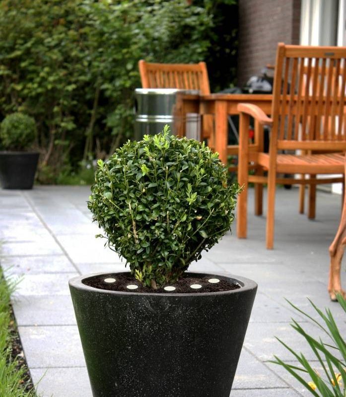 Proiector exterior EGLO SPINETOLI 2 900117