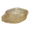 Platou FORLEYET 427029