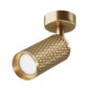 Spot Aplicat FOCUS DESIGN Maytoni C034CL-01G