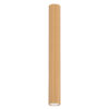Spot Aplicat Cililndric KARBON 60 auriu