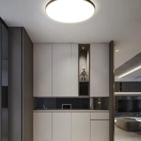 Plafoniera LED Negru IP44 Ultra Slim Grosime 2.1cm D40cm 6500K