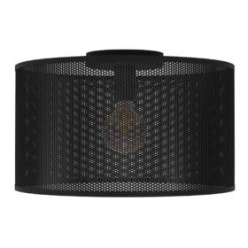 Plafonieră MANBY E27 IP20 43794