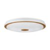 Plafonieră LANCIANO 1 LED 35W IP20 900599