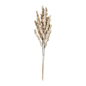 Floare uscată SENNETERRE 428155