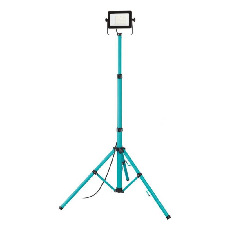 Proiector AVELAR LED 30W IP65 900537