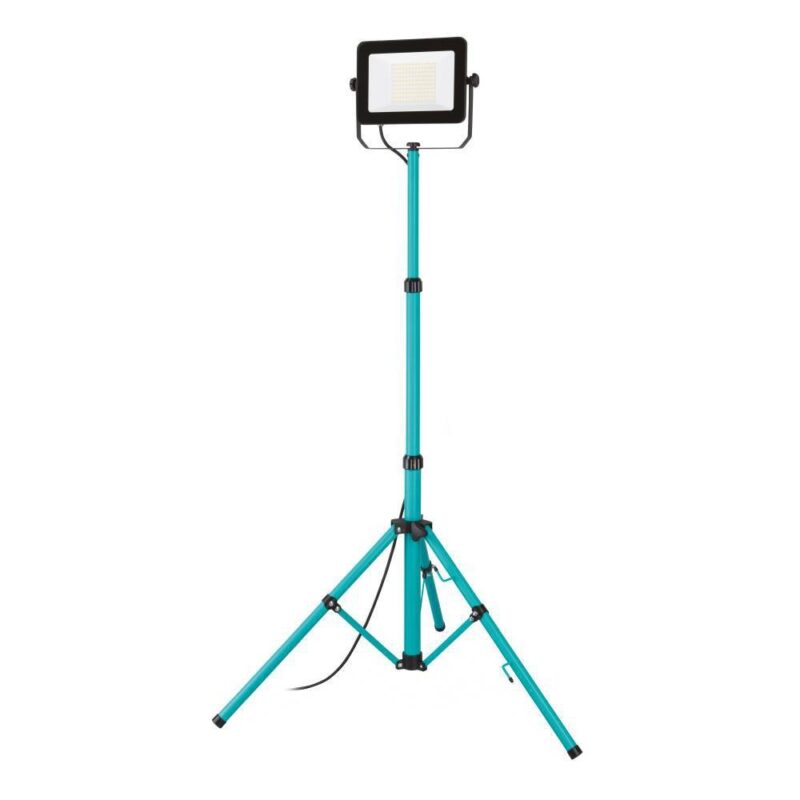 Proiector AVELAR LED 100W IP65 900539