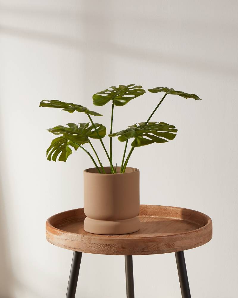 Suport pentru plante PARKENT Ø160mm 428148 - imagine 4