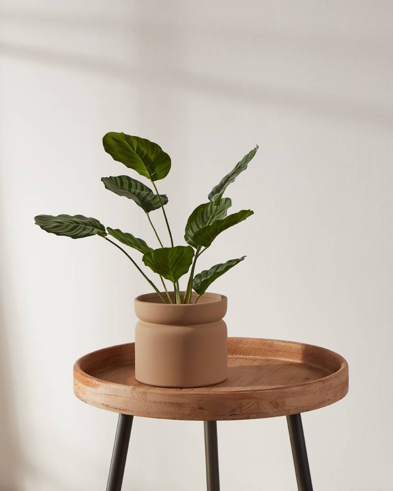 Suport pentru plante PARKENT Ø160mm 428149 - imagine 4