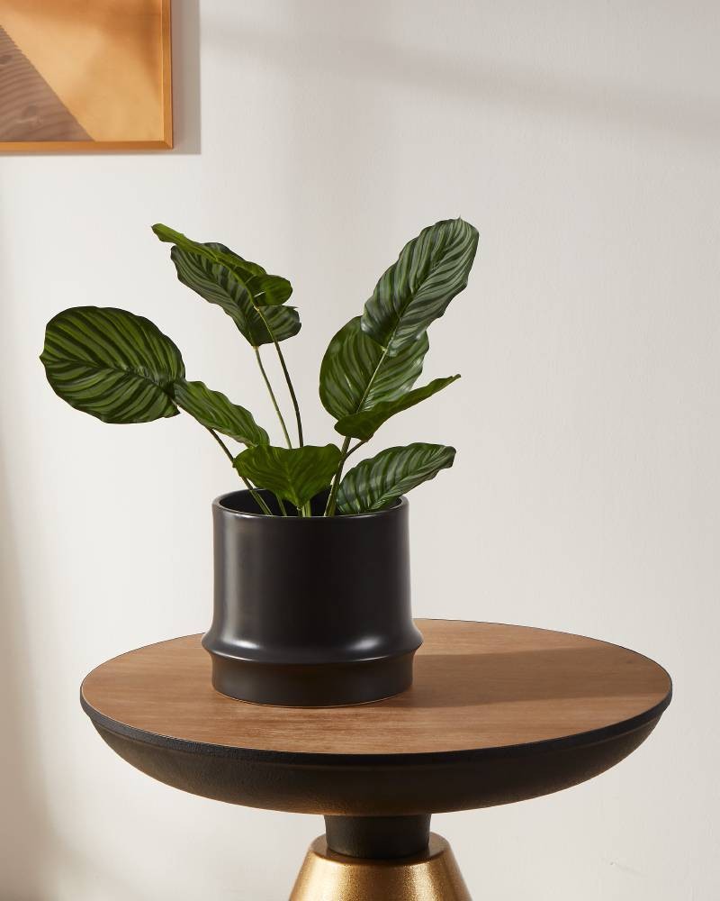 Suport pentru plante PARKENT Ø170mm 428152 - imagine 4