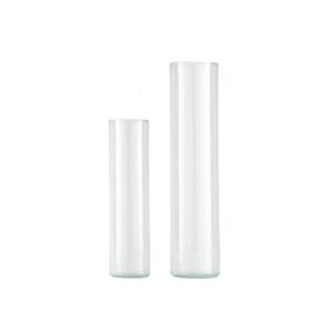 Set 2 vaze de sticlă DELNITE 421069