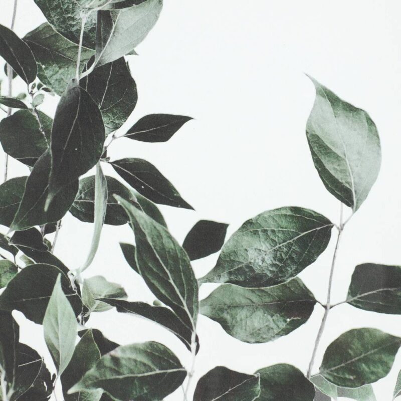 Alternative view of Tablou ROBERVAL 423042