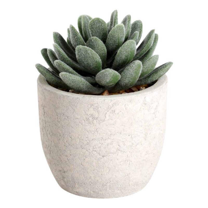 Plantă artificială CHITOSE Ø80mm 428011