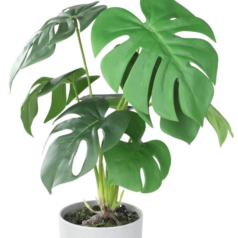 Alternative view of Plantă artificială TOBETSU 428017
