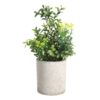 Plantă artificială CHITOSE Ø150mm 428025