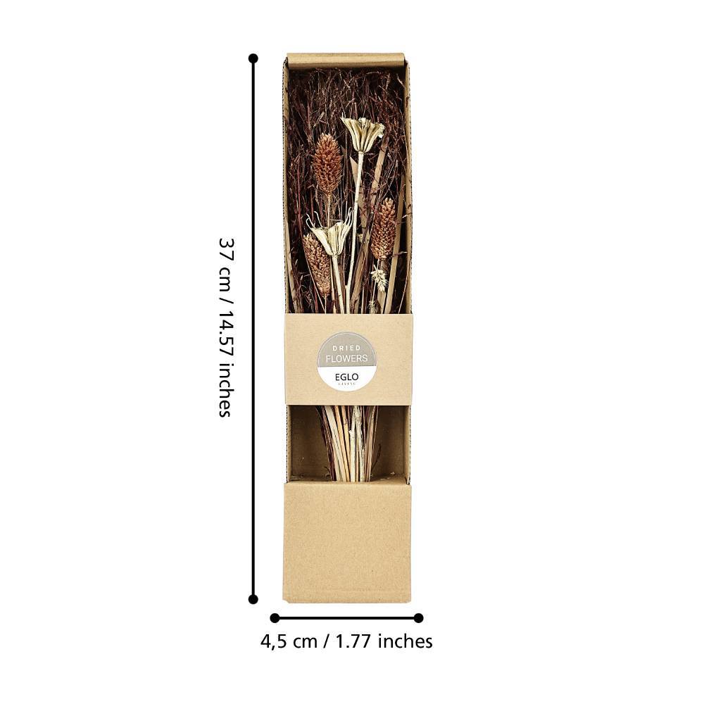 Floare uscată IGNACE 428055 - imagine 3
