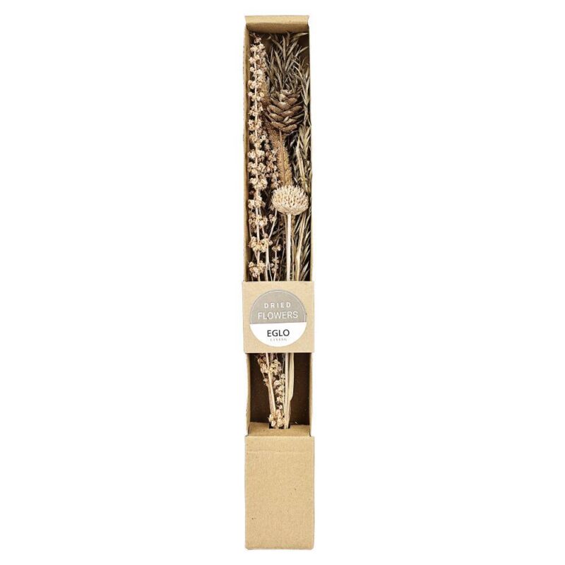 Floare uscată IGNACE 428056