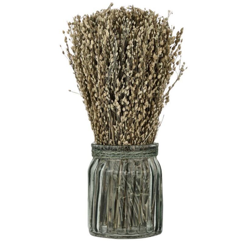 Floare uscată CARAQUET 428077