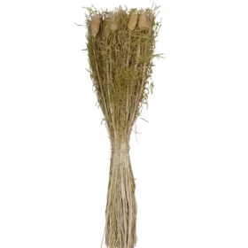 Floare uscată CARAQUET 428159