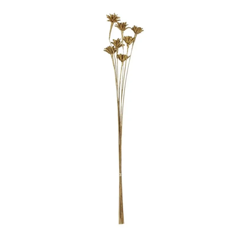 Floare uscată ALABEL 428161