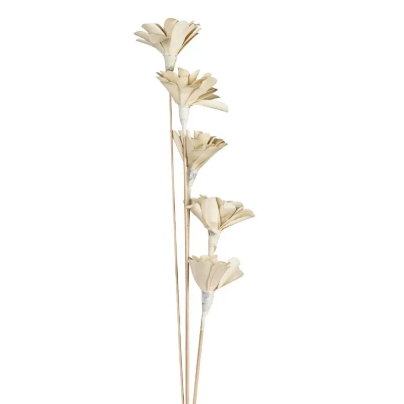 Alternative view of Floare uscată SENNETERRE 428167