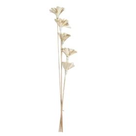 Floare uscată SENNETERRE 428167