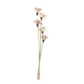Floare uscată SENNETERRE 428168