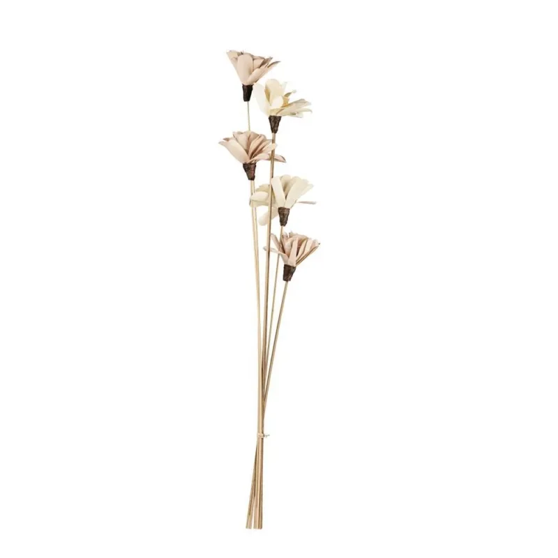 Floare uscată SENNETERRE 428168