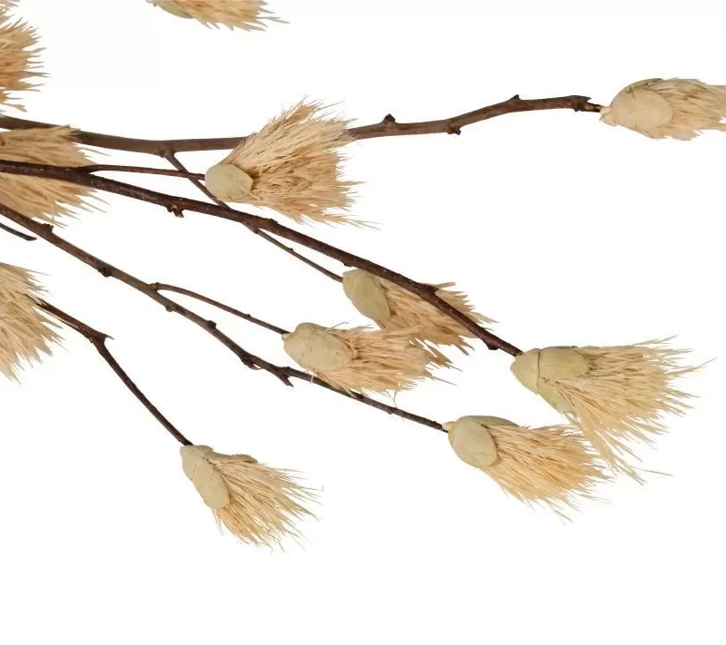 Alternative view of Floare uscată SENNETERRE 428169