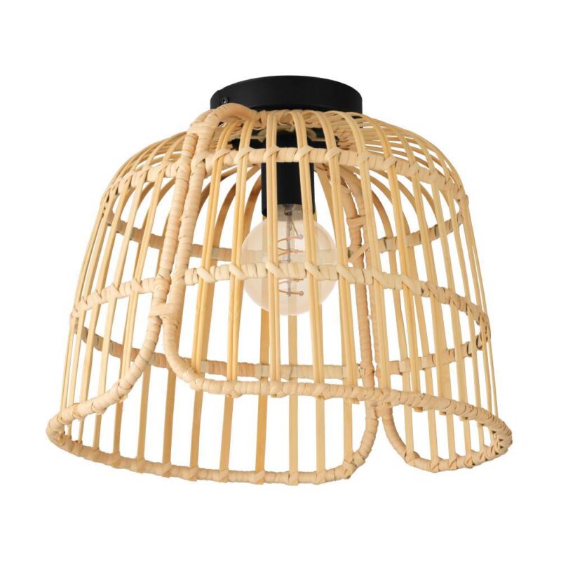 Plafonieră GLYNEATH E27 IP20 43872