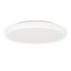 Plafonieră TESTARA-E LED 10W IP20 74098