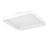 Aplică/Plafonieră LORETELLO LED 12W IP20 901249