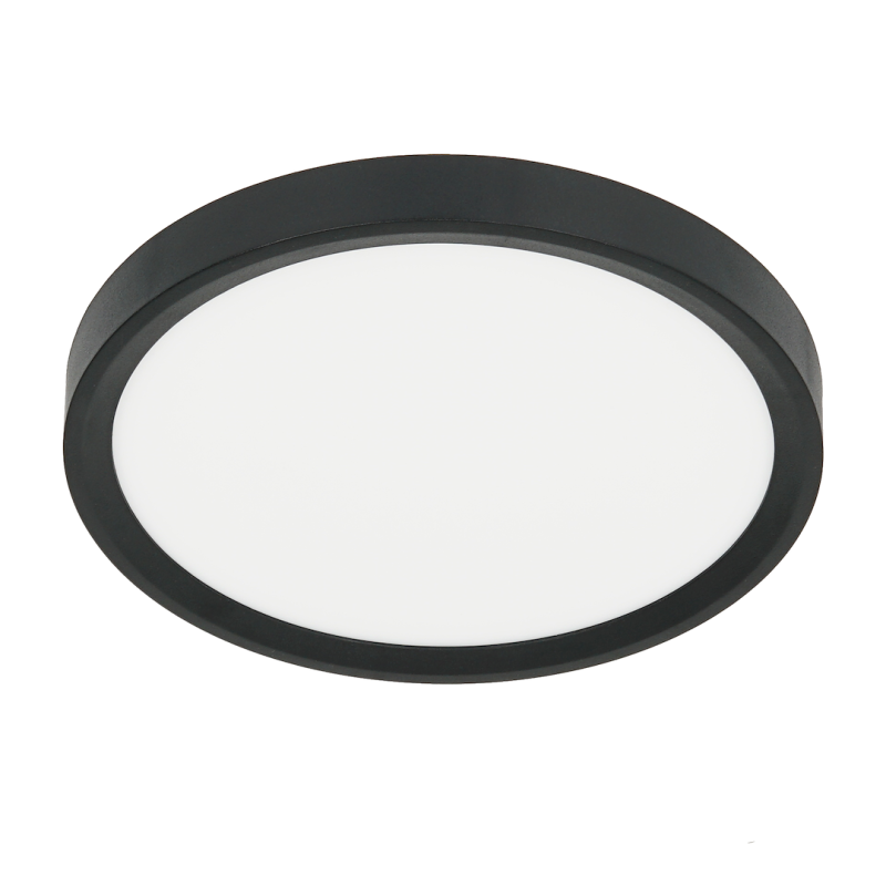 Round black-framed ceiling light with a white diffuser (flush mount).