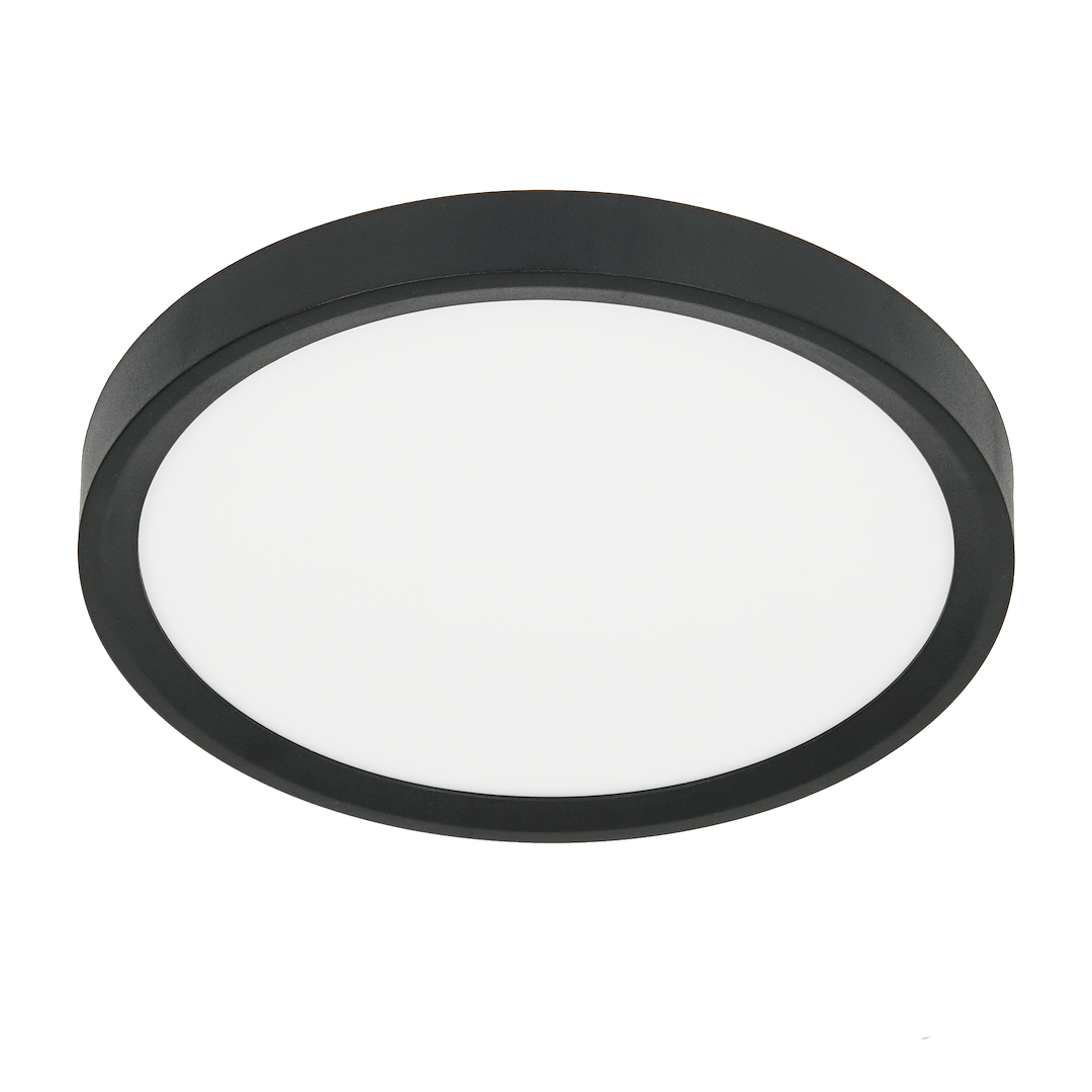 Round black-framed ceiling light with a white diffuser (flush mount).