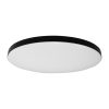 Round white flush-mount ceiling light with a black outer rim.