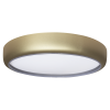 Gold circular flush-mount ceiling light with a white diffuser