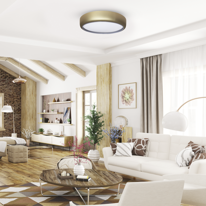 Bright modern living room with a white sofa, round wooden coffee table, exposed wooden ceiling beams, and potted plants.