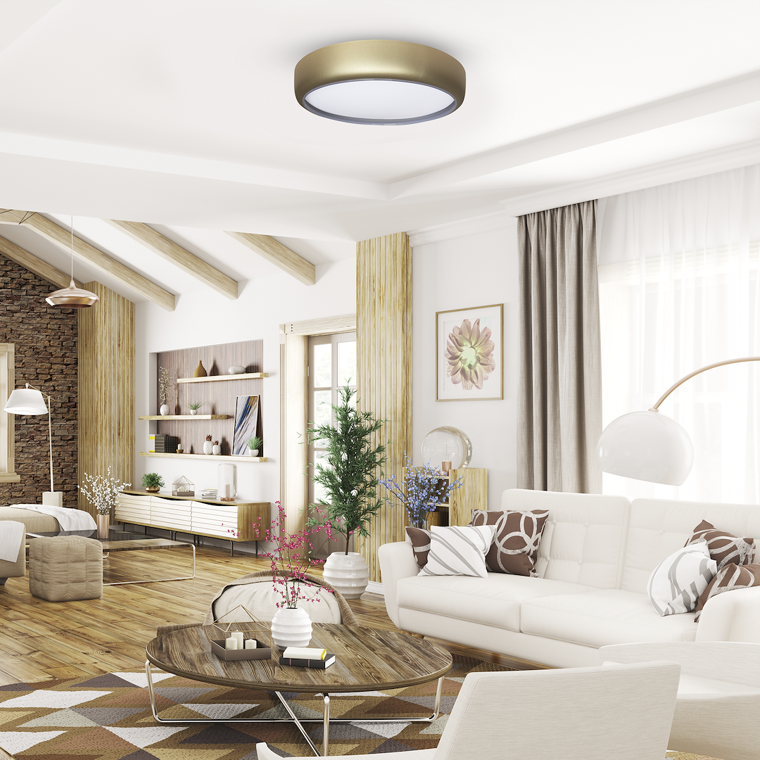 Bright modern living room with a white sofa, round wooden coffee table, exposed wooden ceiling beams, and potted plants.