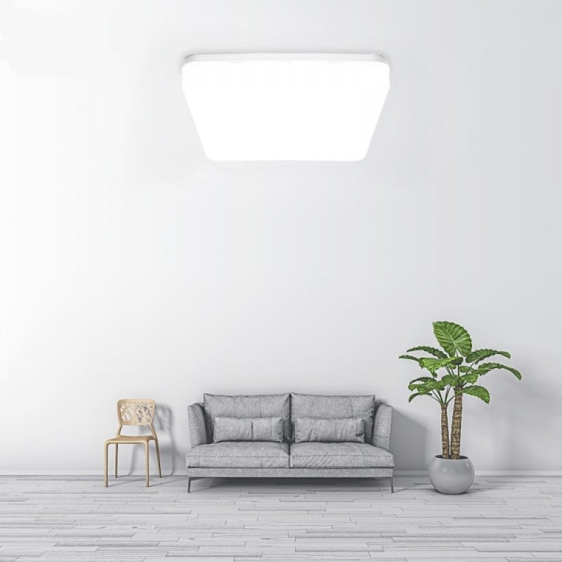 Minimalist living room with a gray sofa, a simple wooden chair, a tall potted plant, and a bright ceiling light.
