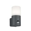 Outdoor cylindrical wall light with a white diffuser and dark gray body, featuring a motion sensor window at the bottom.