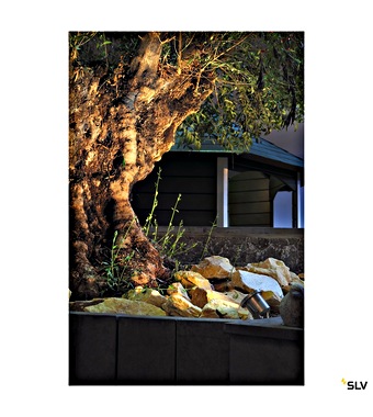Large tree with a rock border and a small shed visible in the background in a yard.