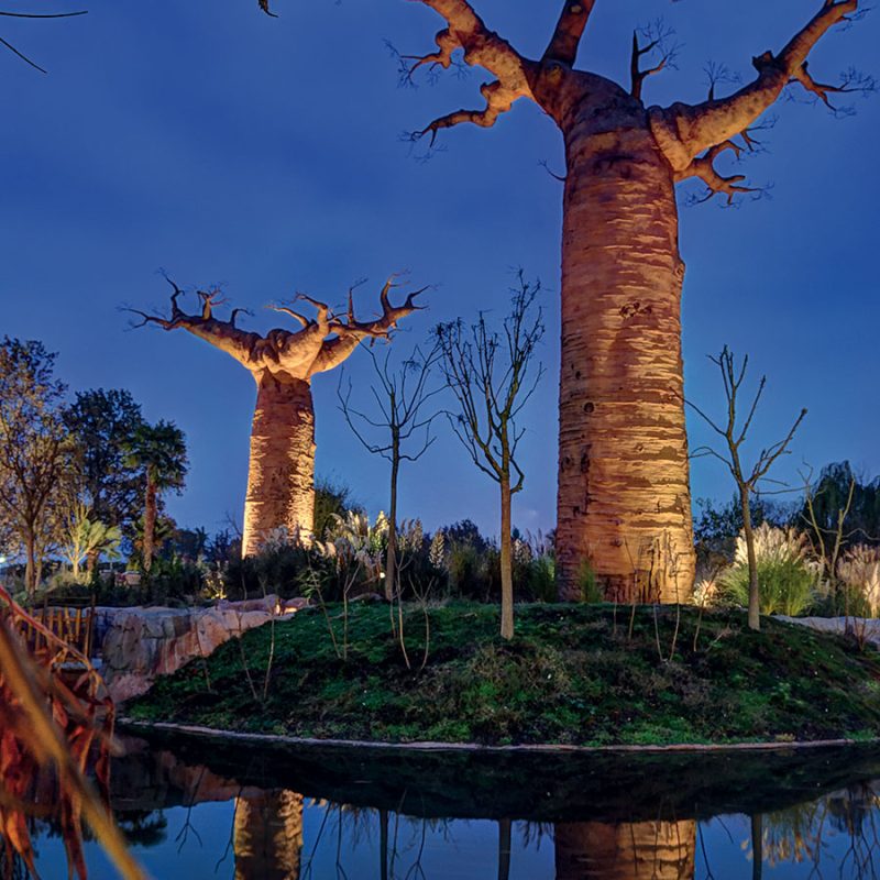 Two tall, illuminated baobab-like trees on a small grassy island, reflected in a calm lake at dusk