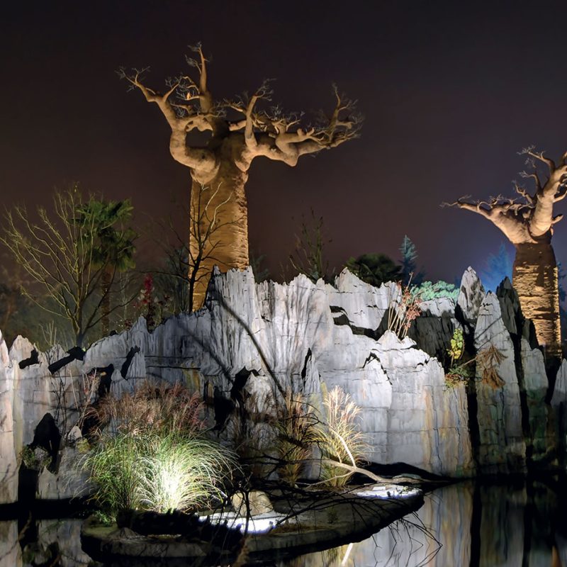 Night scene of rocky white formations with two large, bare, sculpted trees lit from below, reflected in a calm pond.